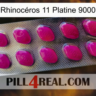 Rhinocéros 11 Platine 9000 09